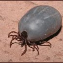 서울동물약국 이미지