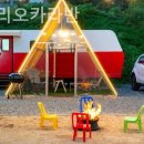 펜션리오 | 경기도 애견펜션 1박 후기 가평 리오카라반 깔끔한 갓성비 숙소로 추천