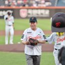 당진야구장 이미지