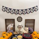 글로리퍼피 이미지