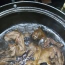 시골옻닭 이미지