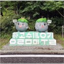 2026년 8월 13일 정선 항골 숨바우길 계곡 트레킹 이미지