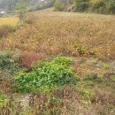 적성면사무소 이미지