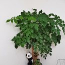 오늘도165 이미지