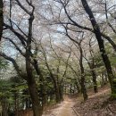 쉼표하나 이미지