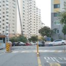 백석사랑약국 이미지