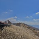 19. 오서산 억새 등반코스, 가을 산행 추천지(상담주차장 코스, 등린이 3시간30분 소요됨)🥾