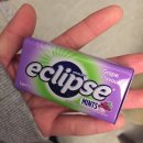 이솝한의원 | 뭐하고 지냈게