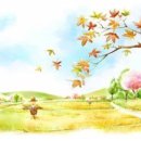 춘천노인복지센터 이미지