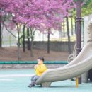 해당화어린이공원 이미지