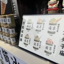 진화 묘 이미지