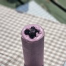 나래애견 이미지