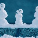 새미래초등학교 이미지