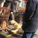 모란시장 이미지