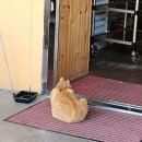 유광회관1호점 이미지