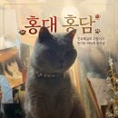 홍담 | 나만 알고 싶은 홍대 아지트, 맛과 감성을 다 잡은 한식당 '홍담'
