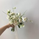 W14. 슈슈그린에서 조화 부케 예약한 후기 f. 프루티플라워