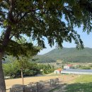 아미산농장 | 울산 하늘목장 동물 먹이주기 체험｜아이랑 부산 근교 가볼만한곳 내돈내산 후기
