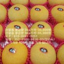 지웅이네과수원