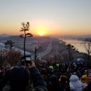 신년해맞이(취소) 이미지