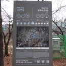 황새울교 앞 이미지