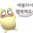 매머드익스프레스대전DCC점