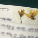 버거킹 동김해DT점 이미지