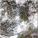 석송가든식당 | 봉정사