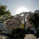 성지여자중학교 이미지