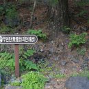 최초석탄발견지탑 이미지