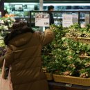 지수마트 이미지