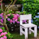 카페수국 - 순천시 하대석길 72 | 카페수국