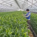 우리타워 이미지