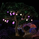 별빛정원B 이미지