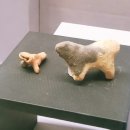 강원대학교박물관 | 문화유산과 자연이 살아 숨 쉬는 곳, 국립춘천 박물관 방문기 – 선사부터 현대까지, 가족과 함께...