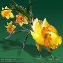 꼬닥
