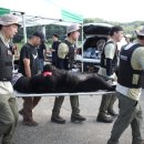 곰두마리농장 이미지