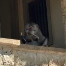 (주)유아이씨커머셜펌 이미지