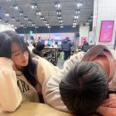 댕댕이 머리하는 날 이미지