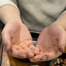 엘베강식당