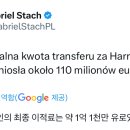 [키커] 해리 케인의 최종 이적료는 €110M 이미지