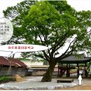 5월 19일 논산시 연산면 연산리 아트통통 품마을 학교 이미지