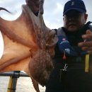 나라3호 이미지