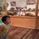 경북대학교자연사박물관 이미지