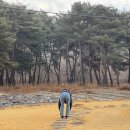 오로라승마장