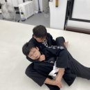 서촌주짓수 네이버블로그