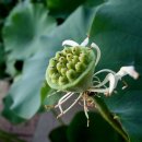 참 좋은 이미지들 이미지