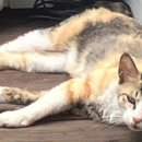 광복세탁소 이미지