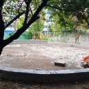 왕선초등학교병설 이미지