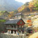 본 (BORN)95 이미지